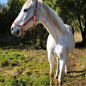 Apadrina a Blanquita